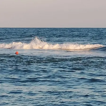 Garden Of Eden - Panorama C-1-15 Reymar