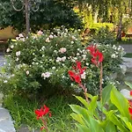 Garden Of Eden - Panorama C-1-15 Reymar Lejlighed
